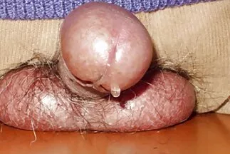 Macho chịch một cô gái phù phiếm với âm hộ cạo sạch lông trong phim xxx hàn tuyết.