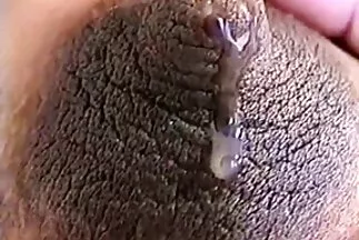 Chú dê dễ thương chui qua lỗ video xxx han quoc trên tường.