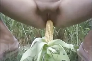 Trong phim xx hàn cuộc phỏng vấn, cô ấy đồng ý thổi kèn.